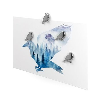 silverbird magneten