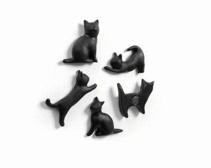 poes magneten
