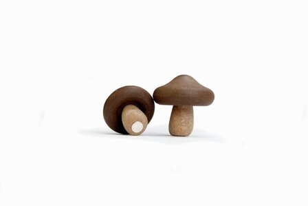 shiitake magneten Qualy