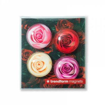 roses magnets glass
