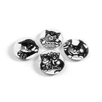katten magneten rond