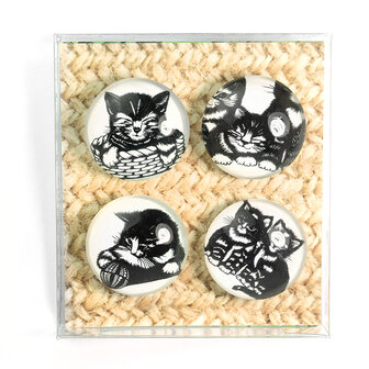 magneet met poes