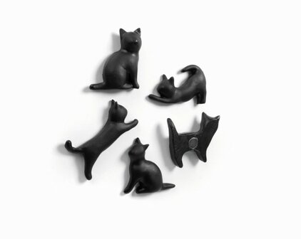 poes magneten