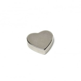 neodymium hart magneten 15x4 mm
