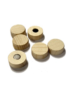 houten schrijfjes magneten