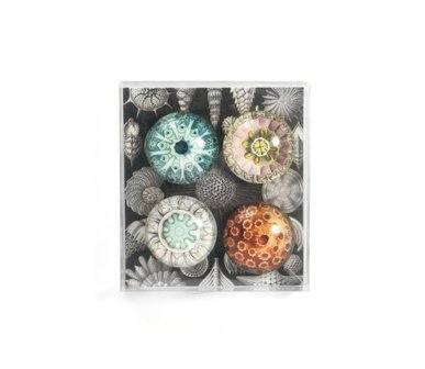 glas magneten rond