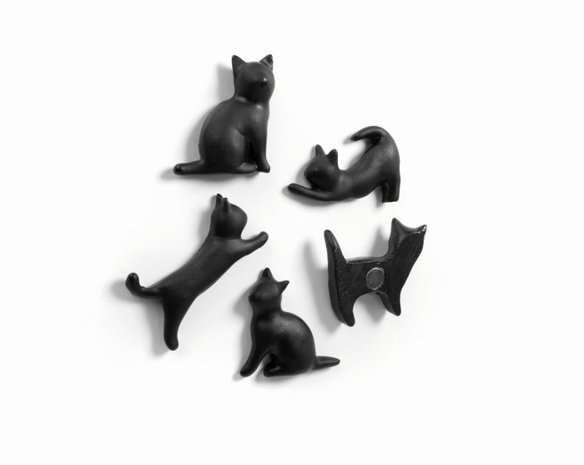 poes magneten