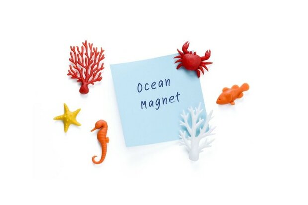 save the oceaan zeedieren magneten