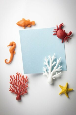 zeepaard, zeester, krab, koraal magneten