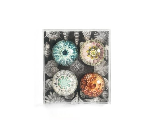 glas magneten rond