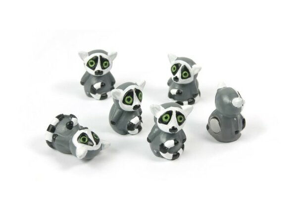 lemur magneten