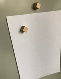 Houtblokjes magneten 15x15 mm