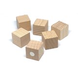 houten magneet blokken