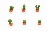 cactus magneten oranje pot
