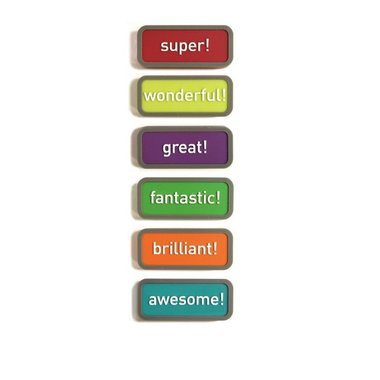 Motivatie magneten Expression - set van 6 stuks