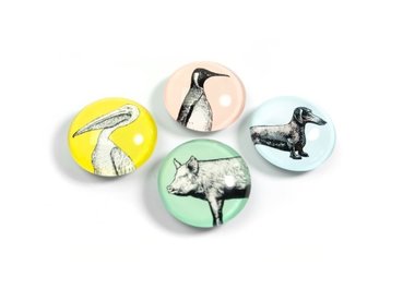 leuke glazen magneten 'animal' - set van 4 stuks