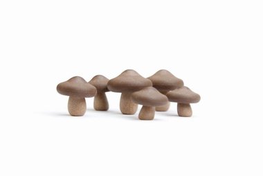 Paddestoel magneten Shiitake - set van 6 stuks