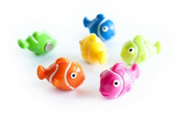 Magneet Nemo - set van 6 leuke vis magneten