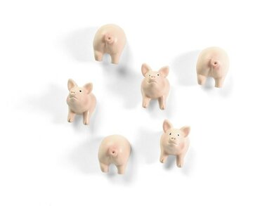 Varkens magneten Piggy - set van 6 leuke varkentjes