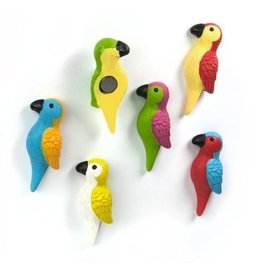 Trendform papegaai magneten Parrot - set van 6 stuks