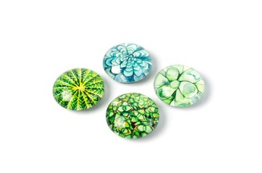 Magneten van glas met vetplantjes afbeeldingen - set van 4 stuks